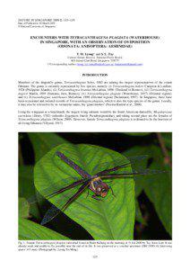 NATURE IN SINGAPORE[removed]: 115–119 Date of Publication: 16 March 2009 © National University of Singapore