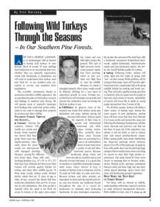 By Eric Darracq  Following Wild Turkeys Through the Seasons  Turkeys prefer thinned