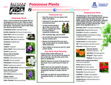 Poisonous Plants Nonpoisonous Plants Plant Safety Tips • 	 Know the names of all your plants, both 	 	 indoor and outdoor.