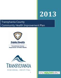 Sample County Community Health Improvement Plan