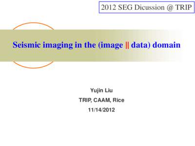 2012 SEG Dicussion @ TRIP  Seismic imaging in the (image || data) domain Yujin Liu