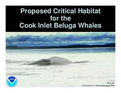 NMFS public hearing presentation on Proposed Critical Habitat for Cook Inlet beluga whales