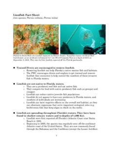 Microsoft Word[removed]30_FWC-Lionfish fact sheet.doc