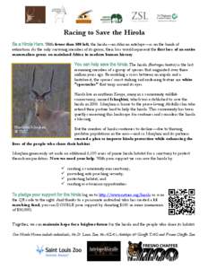 Racing to Save the Hirola Be a Hirola Hero. With fewer than 500 left, the hirola—an African antelope—is on the brink of extinction. As the only surviving member of its genus, their loss would represent the first loss