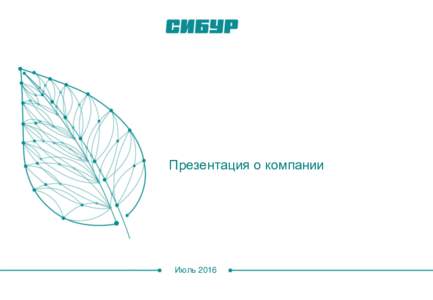 Презентация о компании  Июль 2016 ОГРАНИЧЕНИЕ ОТВЕТСТВЕННОСТИ