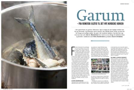 Romersk fiskesauce  Romersk fiskesauce Garum – fra romersk oldtid til det nye nordiske køkken