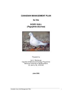 Ornithology / Gulls / Ivory Gull / Canadian Wildlife Service