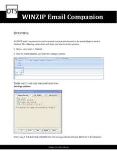 Microsoft Word - winzip companion.doc