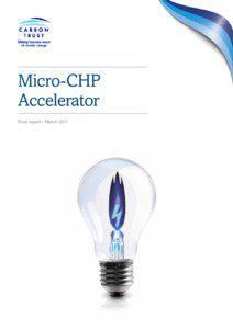 Micro-CHP Accelerator Final report – March 2011