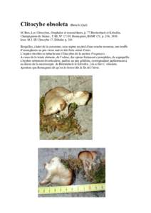 Clitocybe obsoleta  (Batsch) Quél. M. Bon, Les Clitocybes, Omphales et ressemblants, p. 77.Breitenbach et Kränzlin, Champignons de Suisse , T III, N° 171 H. Romagnesi, BSMF CV, p. 256, 1989.