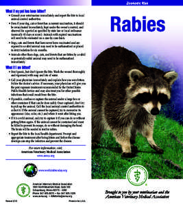 Rabies / Vaccination / Viral encephalitis / Zoonoses / Ferret / Pet skunk / Vaccine / Bite / Cat / Biology / Medicine / Health