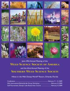 Images provided by the Orlando/Orange County CVB  Joint 49th Annual Meeting of the Weed Science Society of America and the 62nd Annual Meeting of the