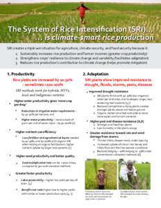 The System of Rice Intensification (SRI)…... is climate-smart rice production