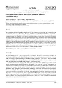 Microhyla / Occidozyga / Southeast Asia / Microhyla achatina / Fejervarya limnocharis / Palmated Chorus Frog / Johann Ludwig Christian Gravenhorst / Fejervarya / Sumatran puddle frog / Herpetology / Fauna of Asia / Hylarana