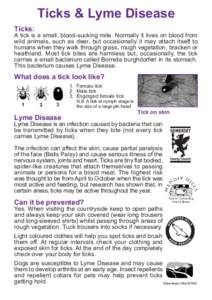 ticks & lyme:Layout 1