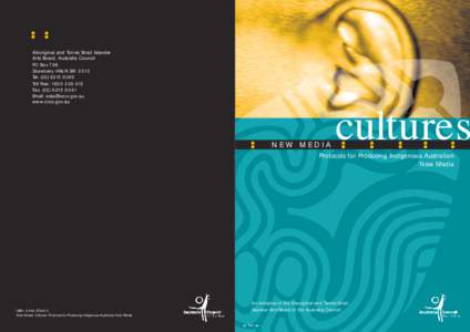 New Media Cultures 8/11 pdf