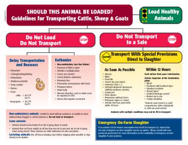 Updated[removed]SHOULD THIS ANIMAL BE LOADED? Guidelines for Transporting Cattle, Sheep & Goats  Do Not Transport