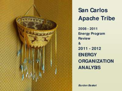 San Carlos Apache Tribe[removed]Energy Program Review and[removed]Energy Organization Analysis