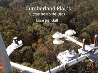 Cumberland Plains Victor Resco de Dios Elise Pendall % Ta missing