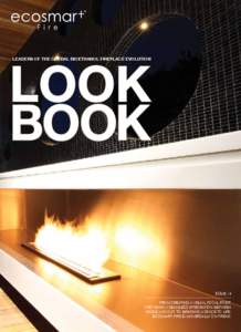LOOK BOOK LEADERS OF THE GLOBAL BIOETHANOL FIREPLACE EVOLUTION ISSUE / 4 From creating a visual focal point,
