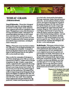 The Nutraceutical Garden : The Grains & Legumes Component 				  WHEAT GRASS