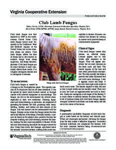 publication[removed]Club Lamb Fungus Nancy Currin, D.V.M., Veterinary Extension Publication Specialist, Virginia Tech Kevin Pelzer DVM, MPVM, ACVPH, Large Animal Clinical Sciences, Virginia Tech