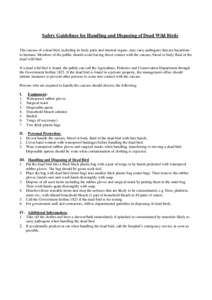 Safety Guidelines for Handling and Disposing of Dead Wild Birds
