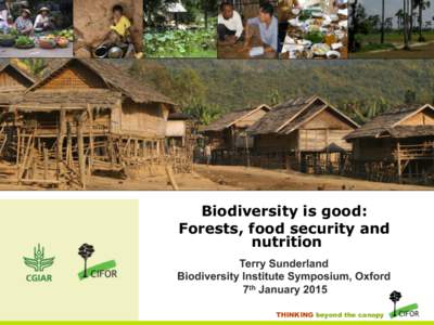 Biodiversity is good: Forests, food security and nutrition Terry Sunderland Biodiversity Institute Symposium, Oxford 7th January 2015