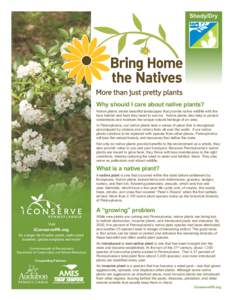 Shady/Dry  Why should I care about native plants? Native plants create beautiful landscapes that provide native wildlife with the best habitat and food they need to survive. Native plants also help to protect