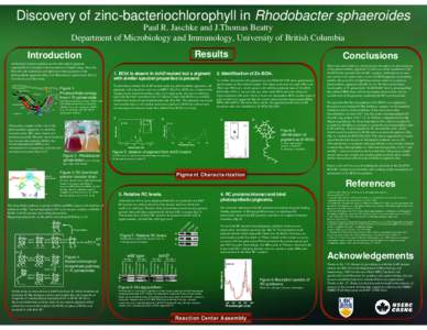 Discovery of zinc-bacteriochlorophyll in Rhodobacter sphaeroides Paul R. Jaschke and J.Thomas Beatty Department of Microbiology and Immunology, University of British Columbia Results