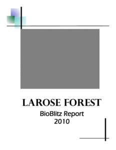Larose Forest BioBlitz Report 2010 31 St.Paul Street P.O. Box 430