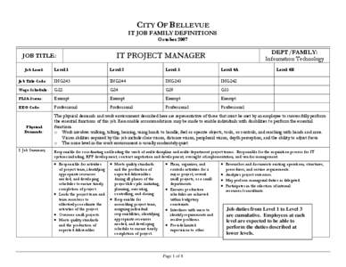 Microsoft Word - IT_Project_Manager.doc