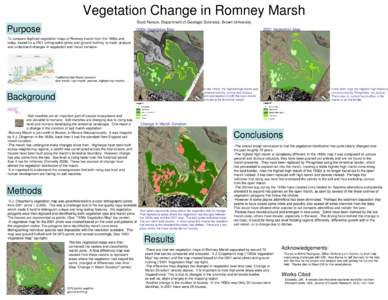 Vegetation Change in Romney Marsh