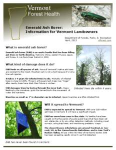 Vermont  Forest Health Emerald Ash Borer: Information for Vermont Landowners