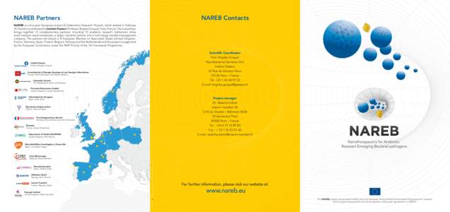 NAREB Partners  NAREB Contacts NAREB is a four-year European project (Collaborative Research Project), which started in February 2014 and is coordinated by Institut Pasteur (Professor Brigitte Gicquel, Paris, France). Ou