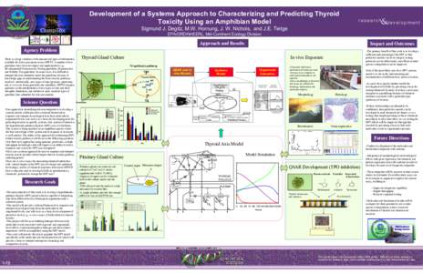 Development of a Systems Approach to Characterizing and Predicting Thyroid Toxicity Using an Amphibian Model research  d ev el opme nt