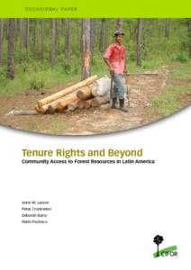 Tenure rights and beyond: community access to forest resources in Latin America