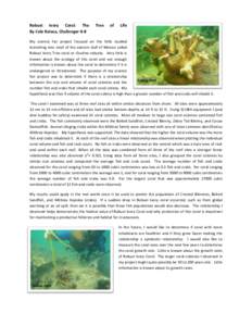 Robust	
   Ivory	
   Coral:	
   The	
   By	
  Cole	
  Kolasa,	
  Challenger	
  K-­‐8	
  	
   Tree	
    of	
  