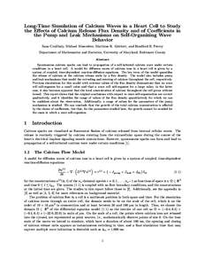 Long-Time Simulation of Calcium Waves in a Heart Cell to Study the Effects of Calcium Release Flux Density and of Coefficients in the Pump and Leak Mechanisms on Self-Organizing Wave Behavior Zana Coulibaly, Michael Musc