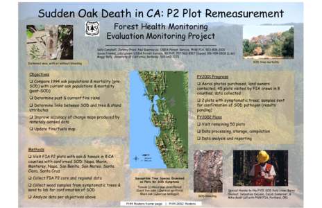 Microsoft PowerPoint - sudden oak death campbell.ppt