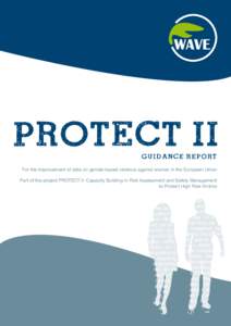 Guidance Report For the improvement of data on gender-based violence against women in the European Union Part of the project PROTECT II: Capacity Building in Risk Assessment and Safety Management to Protect High Risk Vic