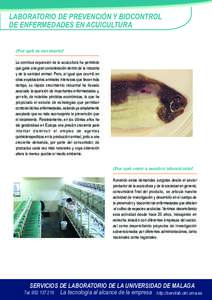 LABORATORIO DE PREVENCIÓN Y BIOCONTROL DE ENFERMEDADES EN ACUICULTURA ¿Por qué es necesario? La continua expansión de la acuicultura ha permitido que gane una gran consideración dentro de la industria y de la sanida