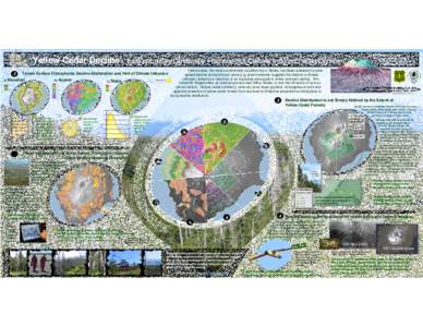 Yellow-Cedar Decline: Evaluating Key Landscape Features of a Climate-Induced Forest Decline