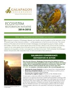 ECOSYSTEM  RESTORATION INITIATIVE[removed]Yellow Warbler © Delaney Anderson