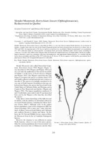 Flora of the United States / Botrychium / Botrychium pumicola / Ophioglossaceae / Plant taxonomy / Botany