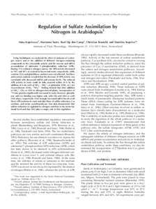 Plant Physiology, March 2000, Vol. 122, pp. 737–746, www.plantphysiol.org © 2000 American Society of Plant Physiologists  Regulation of Sulfate Assimilation by Nitrogen in Arabidopsis1 Anna Koprivova2, Marianne Suter,