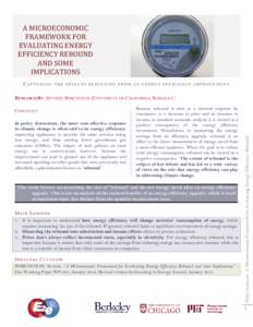 A MICROECONOMIC FRAMEWORK FOR EVALUATING ENERGY EFFICIENCY REBOUND AND SOME IMPLICATIONS