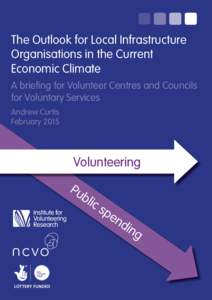 The Outlook for Local Infrastructure Organisations in the Current Economic Climate A briefing for Volunteer Centres and Councils for Voluntary Services Andrew Curtis