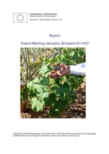 Report on Expert Meeting Jatropha, Brussels[removed]