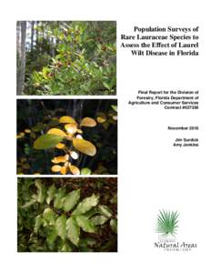 Lindera / Flora of Arkansas / Laurel wilt / Lauraceae / Litsea / Licaria / Laurel forest / Flora of the United States / Magnoliids / Laurales